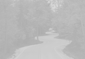 winding road grey filter